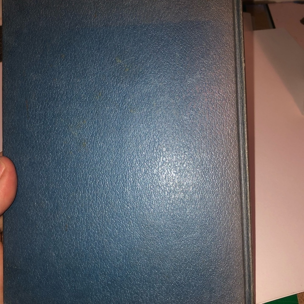 First Edition Maggie Muggins and the Cottontail by Mary Grannan- - Picture 2 of 8